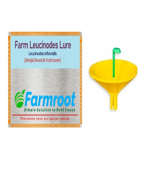 FARM Leucinoides  (BRINJAL) Lure With Water trap (pack of 10 )