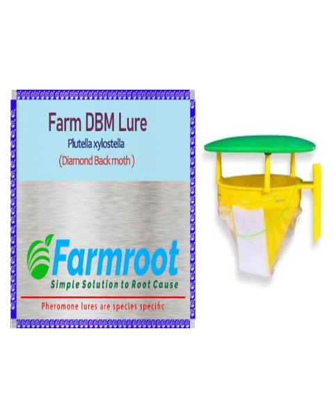 FARM DBM  LURE + FUNNEL TRAP ( PACK OF 10)