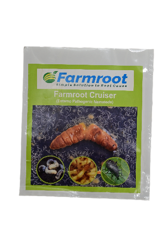 FARMROOT CRUISER- Entomopathogenic Nematode -1KG