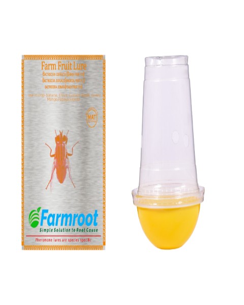 FARM Fruit fly pheromone traps and lures ( Pack of 10 fruit lure and Fly Trap )