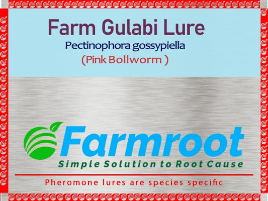 FARM GULABI LURE( Pack of 5 )