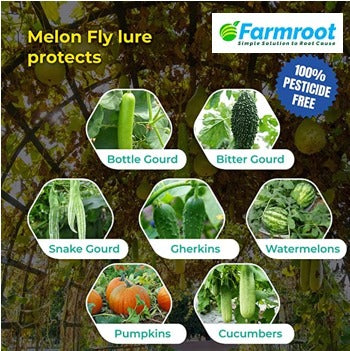 FARM MELON LURE WITH FLY(IPM)TRAP (Pack of 100)