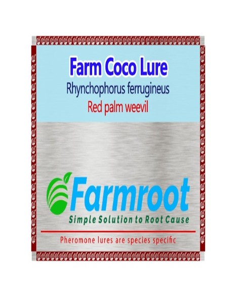 FARM RPW LURE (Red palm weevil)+ Activator and BucketTrap (Pack of 10)