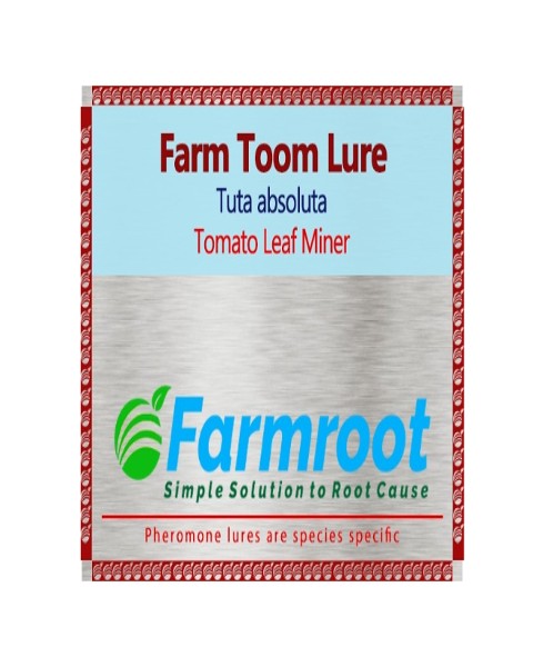 FARM TOOM LURE (Pack of 10 )