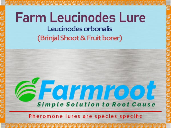 FARM LEUCINODIES (Brinjal) LURE ( pack of 10)