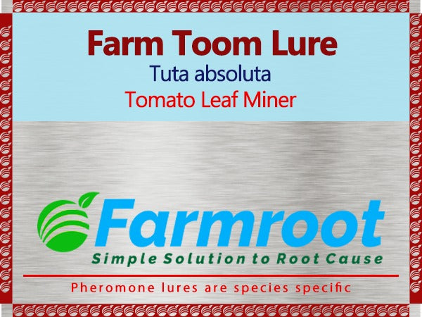 FARM TOOM LURE